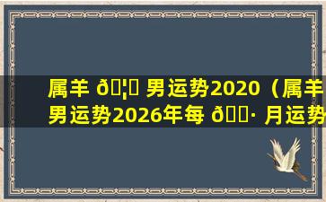 属羊 🦟 男运势2020（属羊男运势2026年每 🌷 月运势）